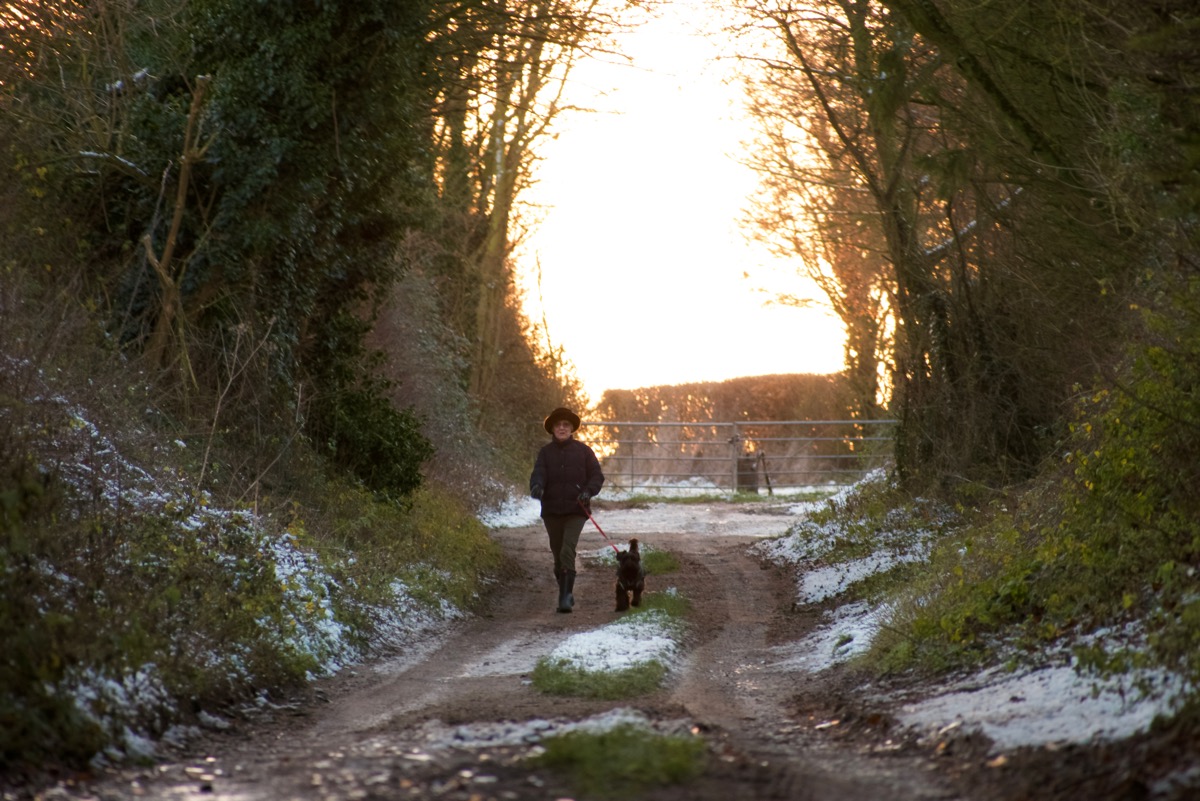 Older lady walking her dog down a snowy country path in the morning