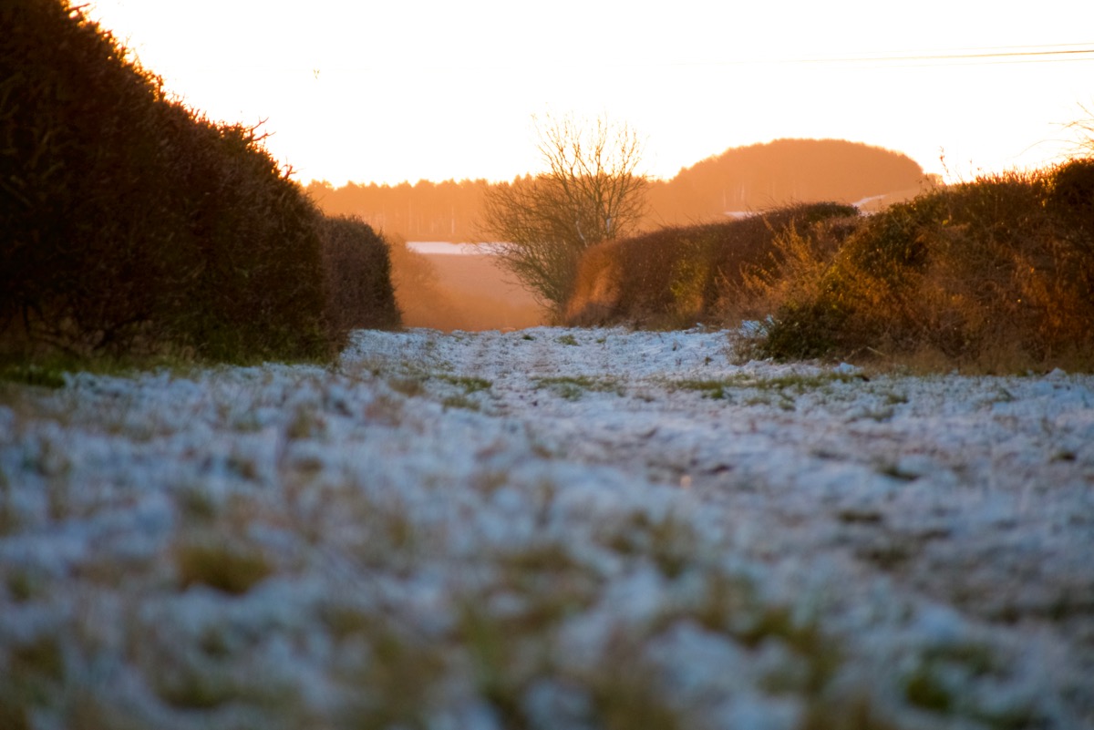 Snow covered country footpath at dawn